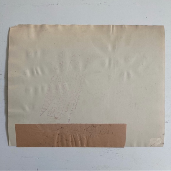 Vintage 1925 Press Photograph Puma in London Zoo - Picture 2 of 5